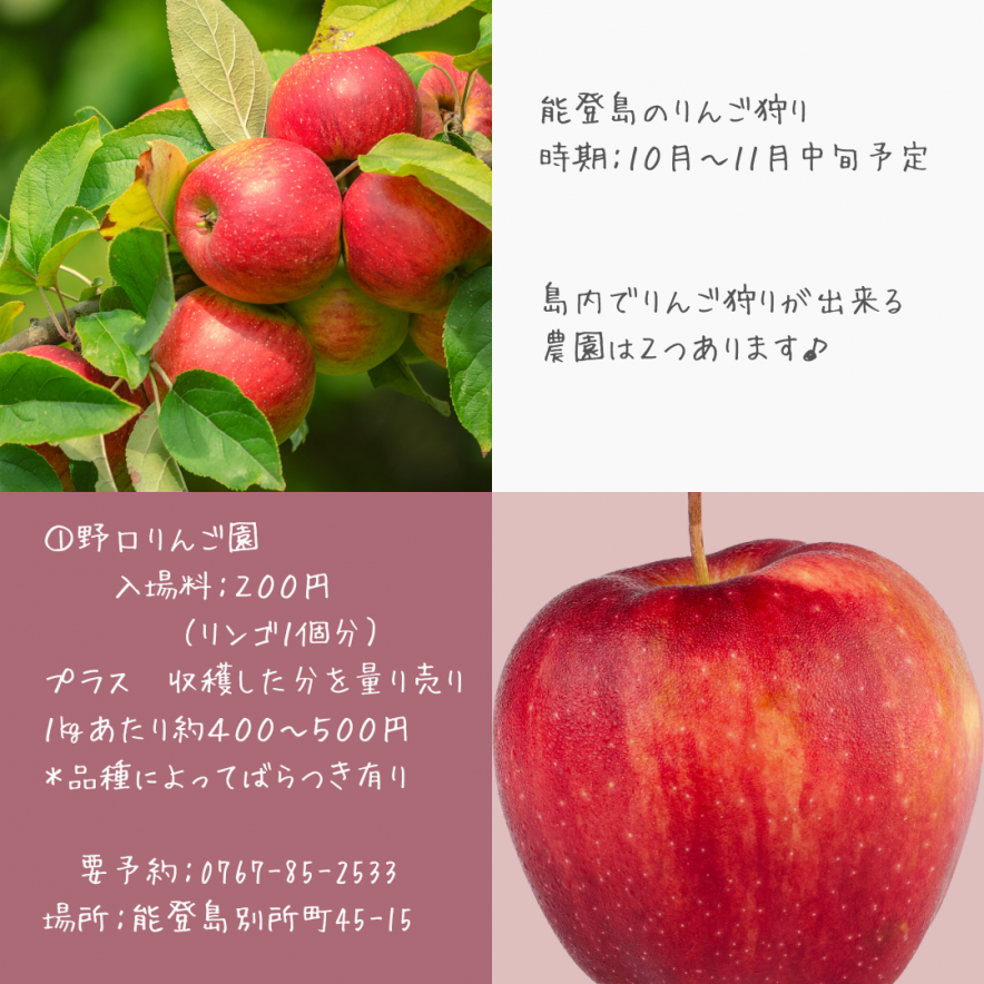 のとじまで林檎狩り