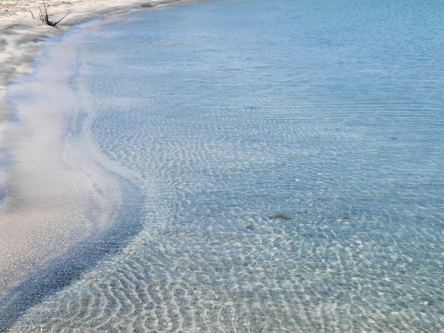 八ヶ崎海水浴場（河尻氏提供）2026 (1)