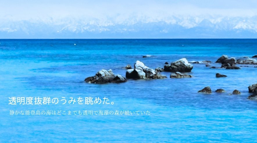 透明度抜群のうみを楽しむ