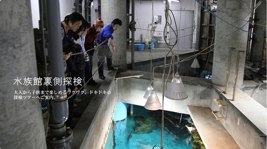 水族館裏側探検