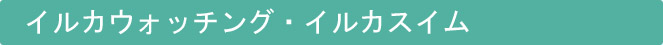 イルカウォッチング・イルカスイム